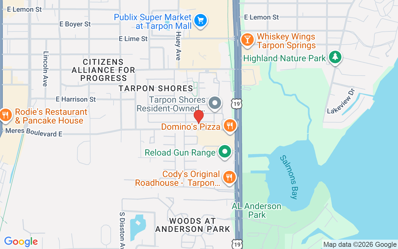 7 Drury Lane, Tarpon Springs, FL 34689