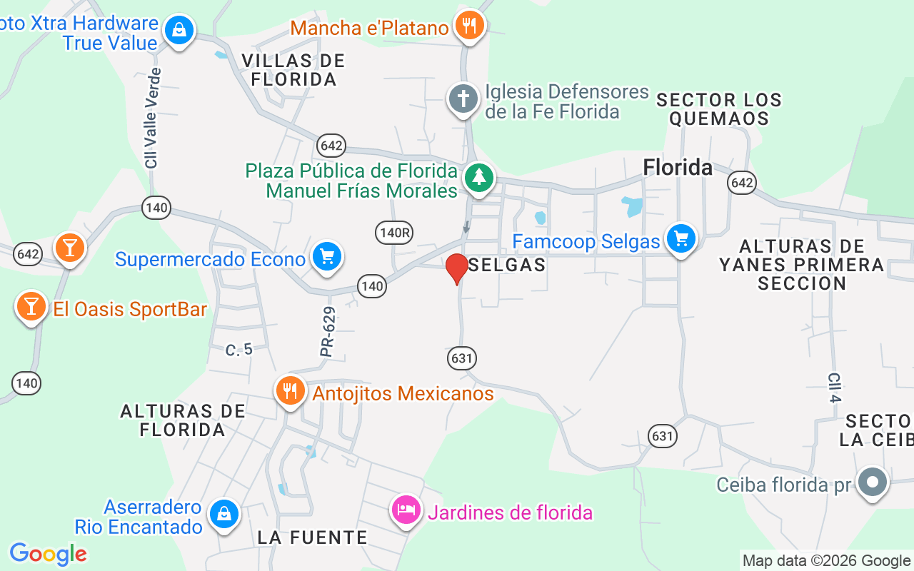 140 Ramon Torres, Florida, PR 00650