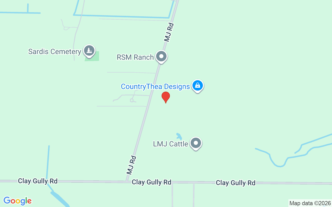 14325 Mj Road, Myakka City, FL 34251