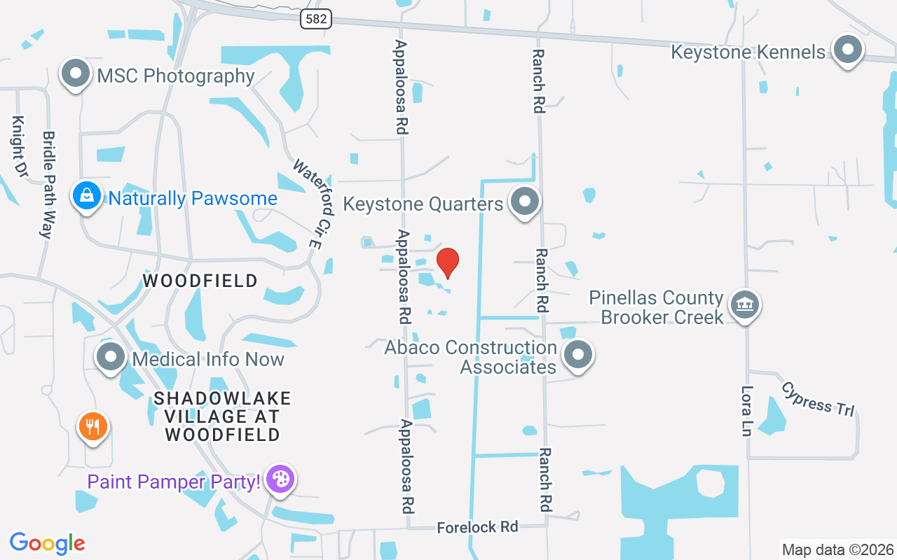 655 Appaloosa Road, Tarpon Springs, FL 34688