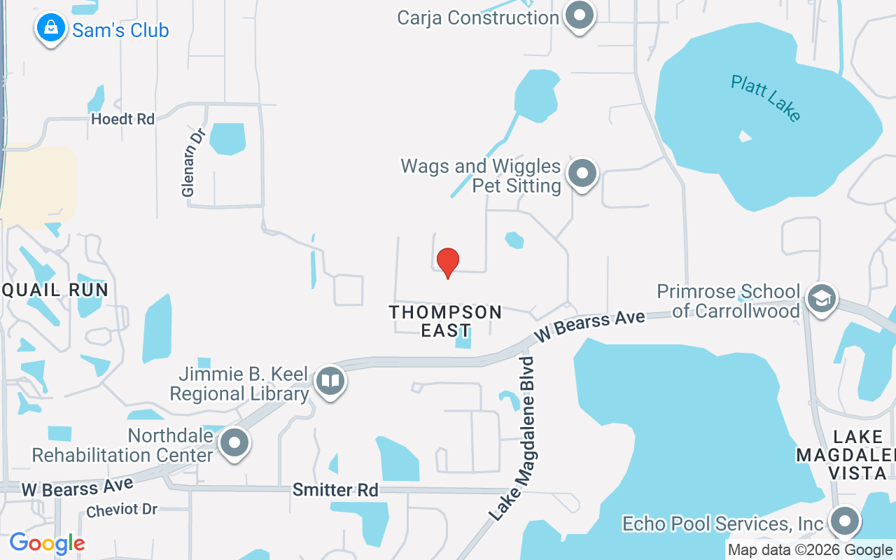 2226 Climbing Ivy Drive, Tampa, FL 33618