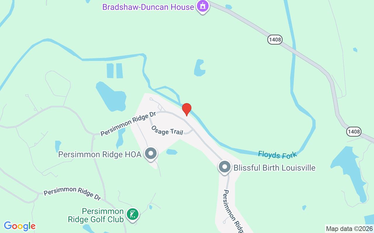 279 Persimmon Ridge Dr, Louisville, KY 40245