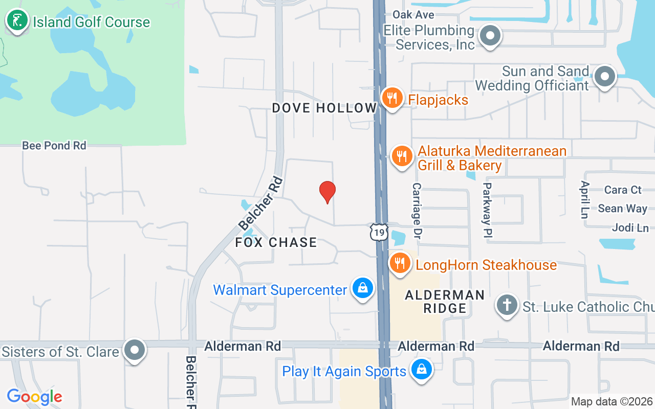 3223 Fox Chase Circle #206, Palm Harbor, FL 34683