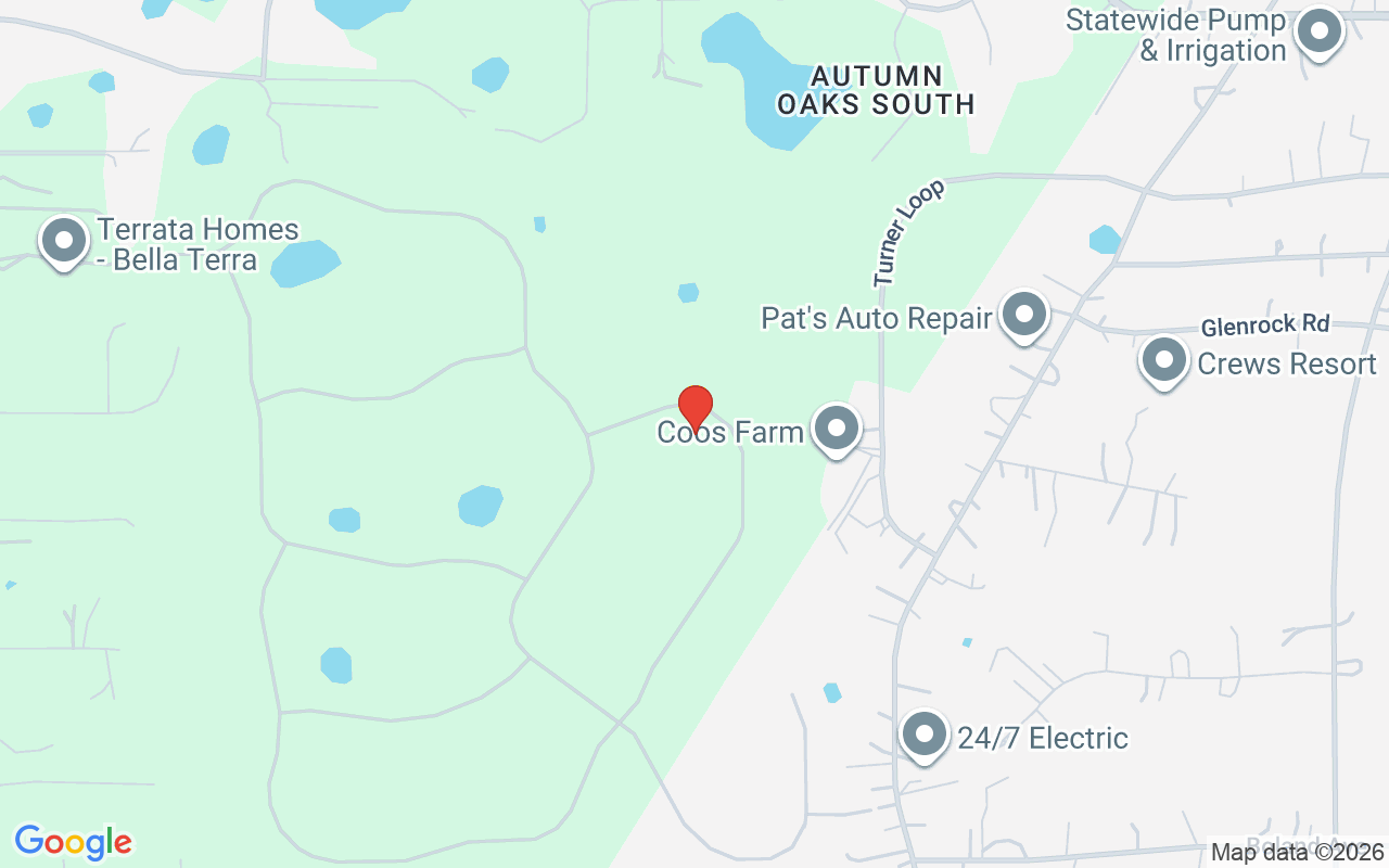 13665 Oldenburg Drive, Hudson, FL 34667