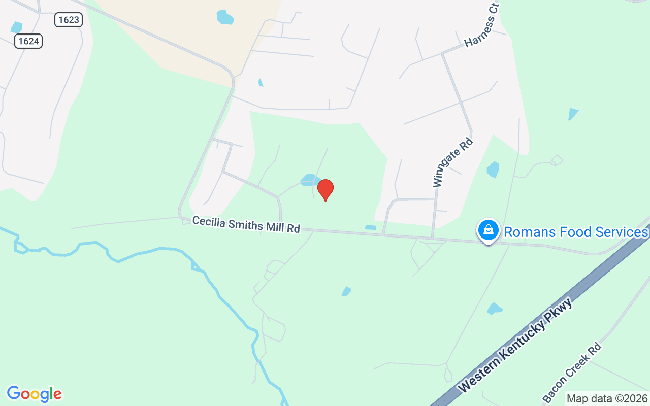 14 Wellesly Ct, Cecilia, KY 42724