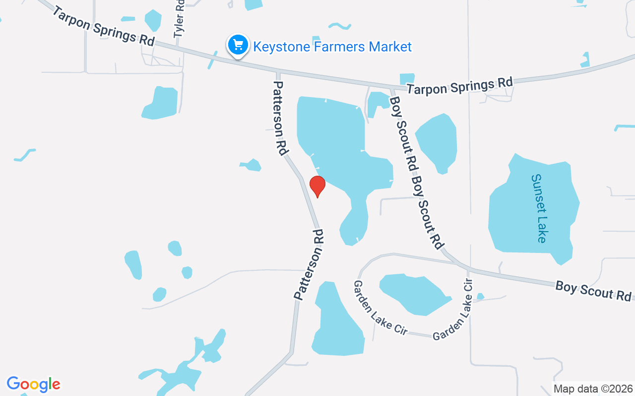 18011 Patterson Road, Odessa, FL 33556