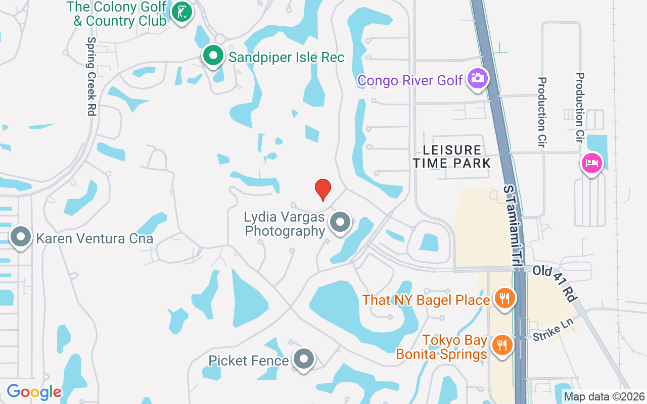 24550 Black Rush Ct, Bonita Springs, FL 34134