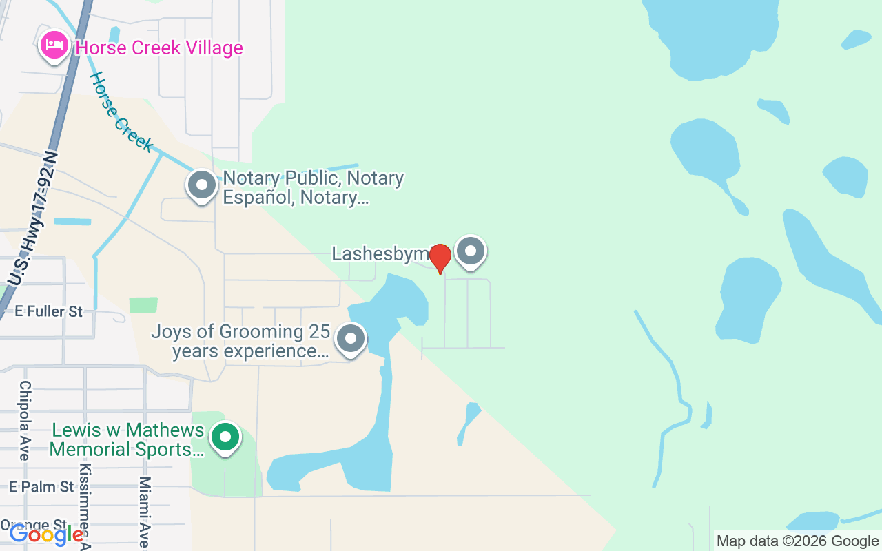 2416 Penguin Boulevard, Davenport, FL 33837