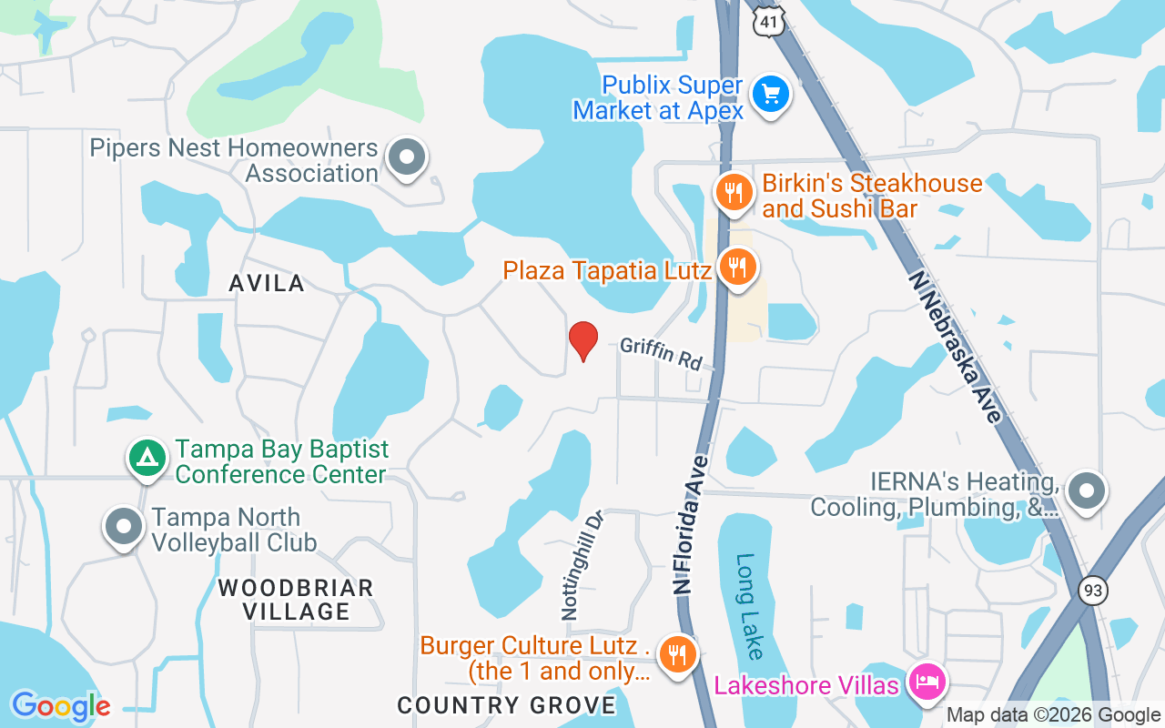 16211 Villarreal De Avila, Tampa, FL 33613