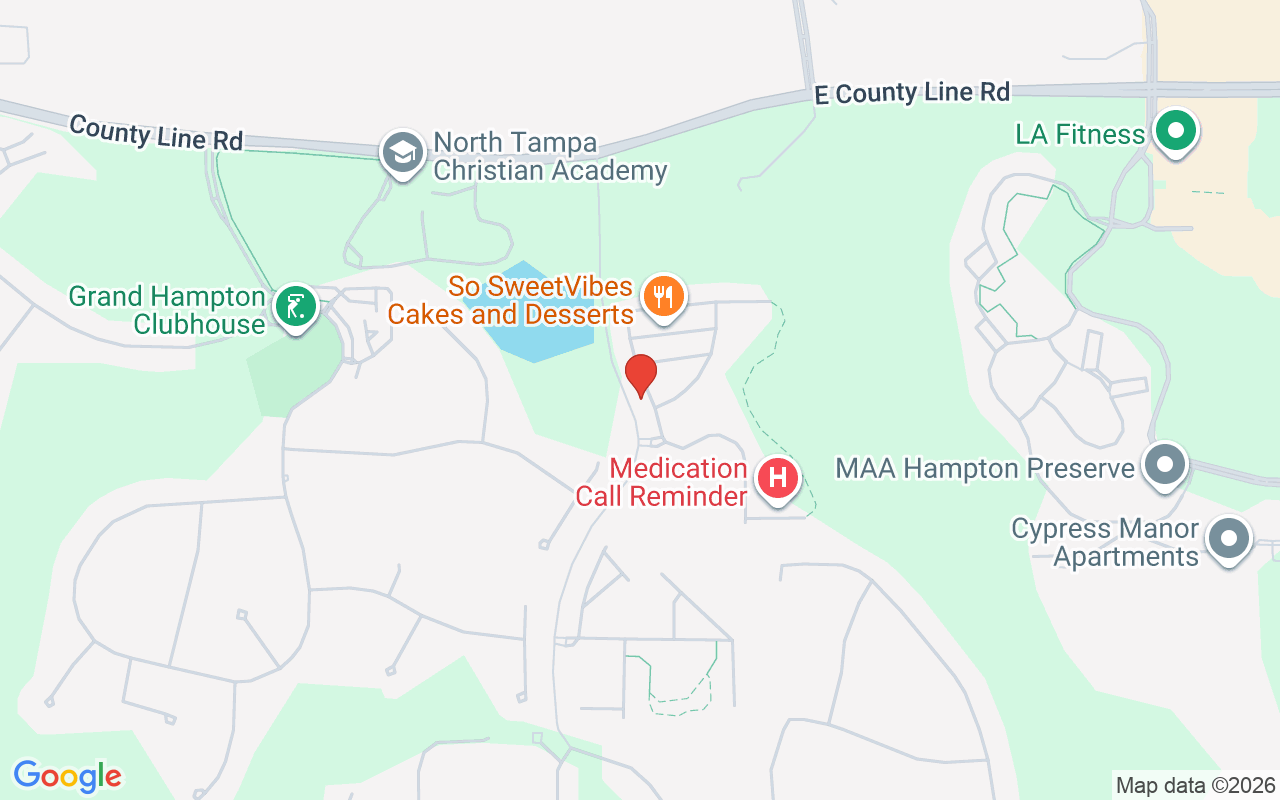 20424 Needletree Drive, Tampa, FL 33647