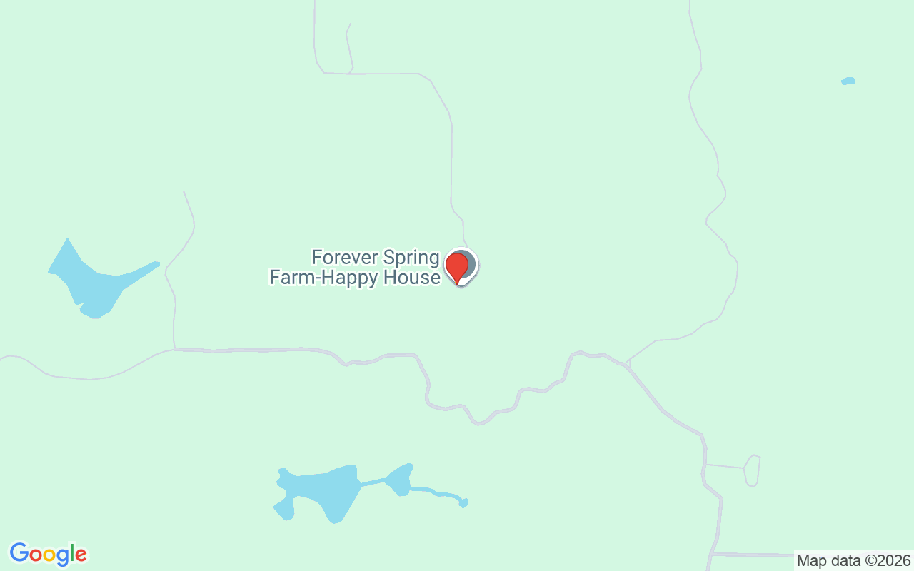 15000 Hwy 318  W, Williston, FL 32696