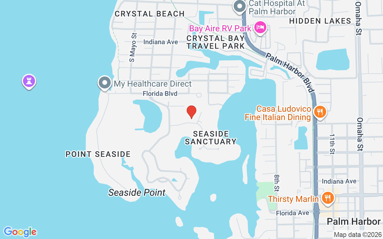 335 Sanctuary Dr, Crystal Beach, FL 34681