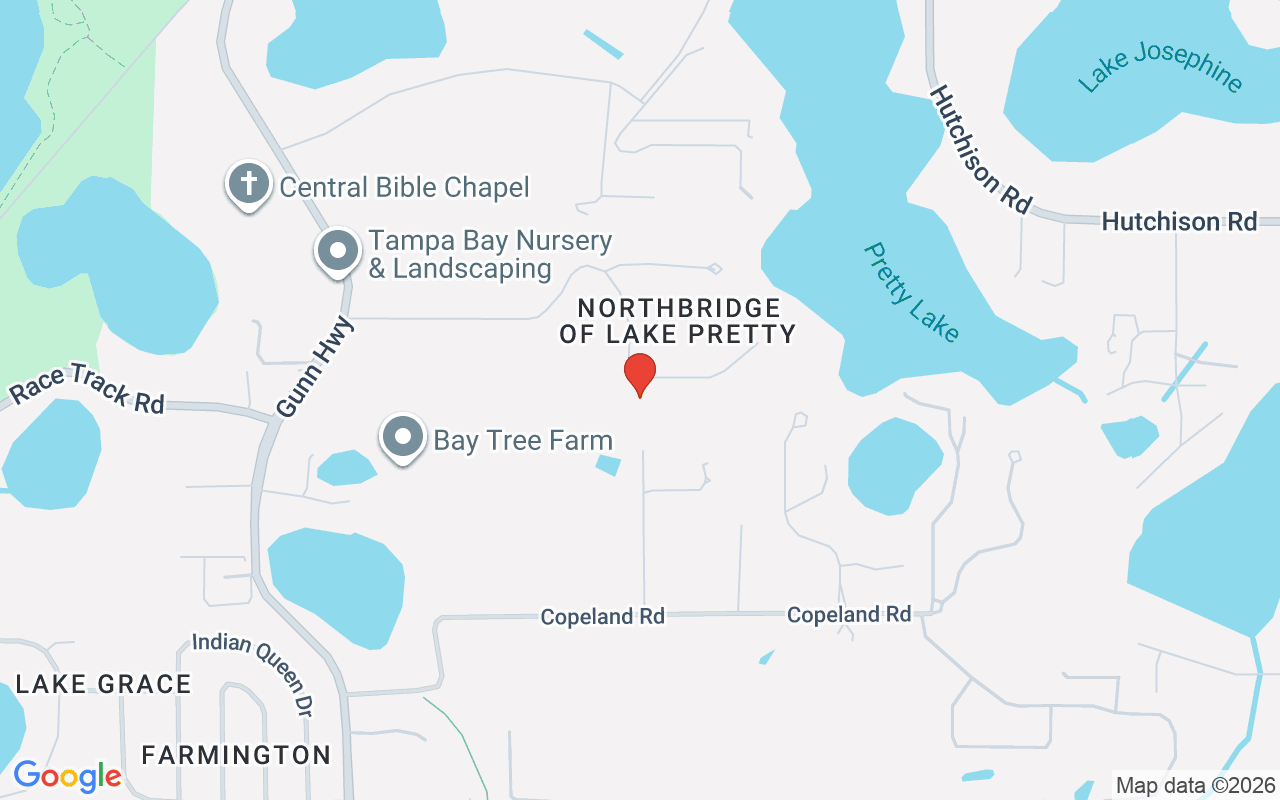 9916 Menander Wood Court, Odessa, FL 33556