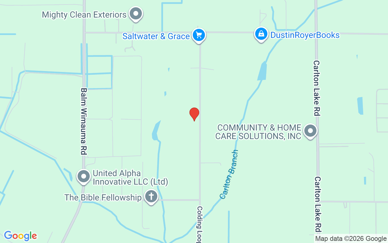 15721 Colding Loop, Wimauma, FL 33598