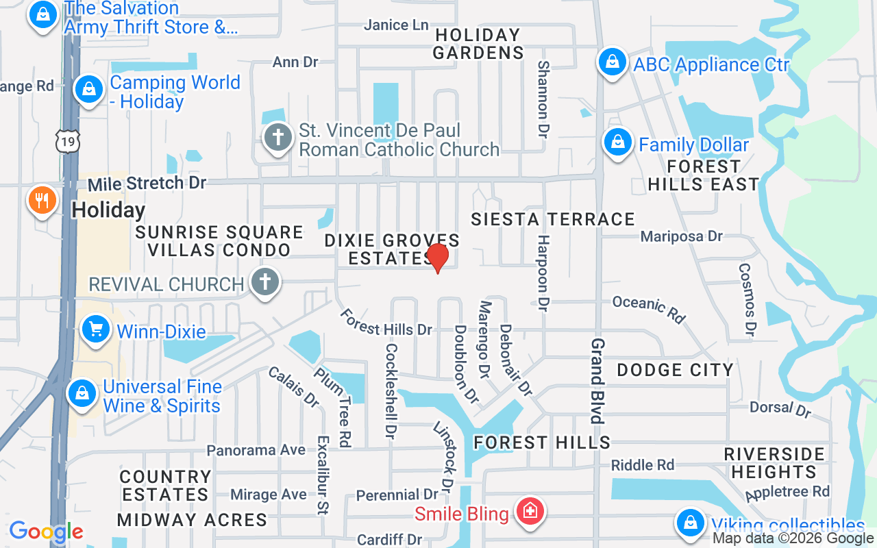 5150 Castile Lane, Holiday, FL 34690