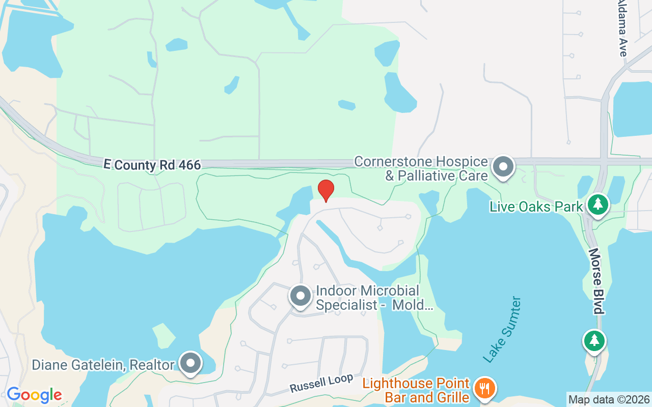 664 Ternberry Forest Drive, The Villages, FL 32162