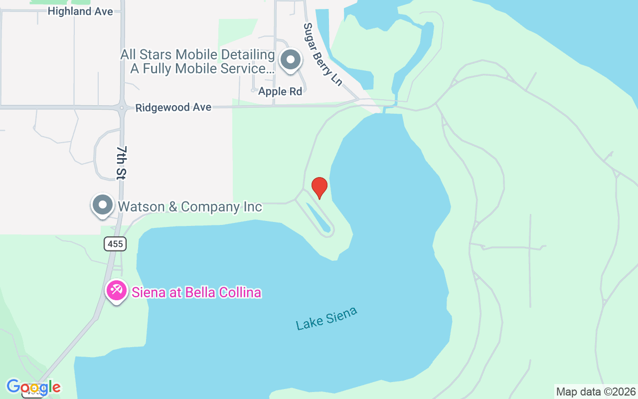 17414 Pesce Loop, Montverde, FL 34756