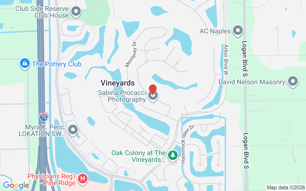 208 Silverado Dr, Naples, FL 34119