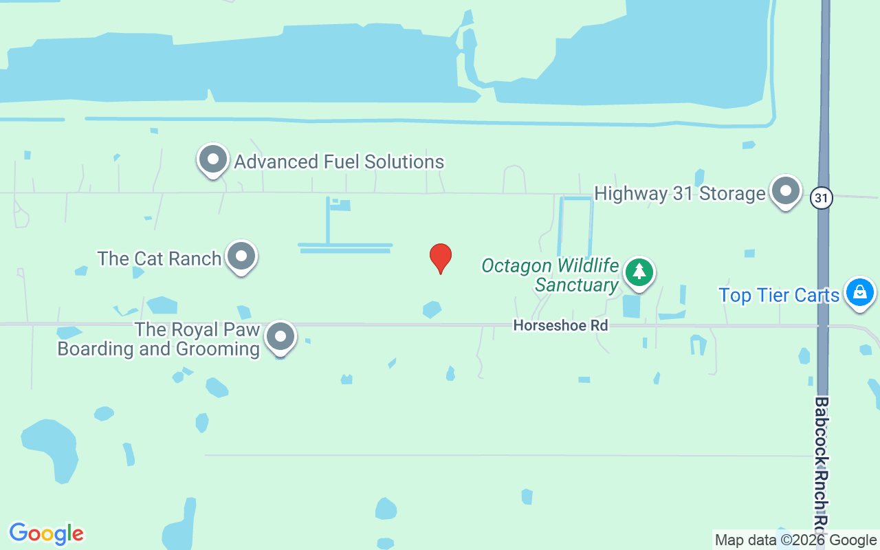 41300 Horseshoe Rd, Punta Gorda, FL 33982