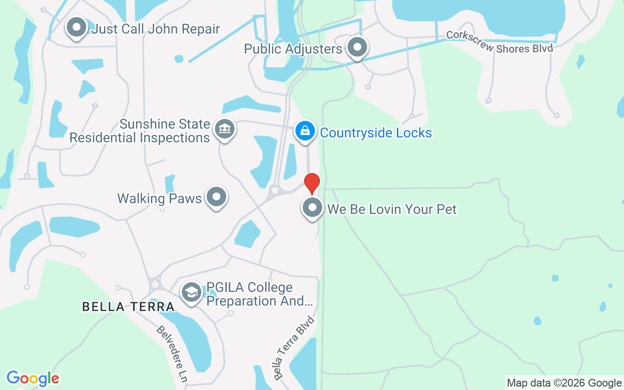 21024 Cosenza Ct, Estero, FL 33928