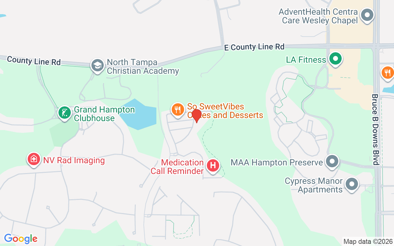 20461 Berrywood Lane, Tampa, FL 33647