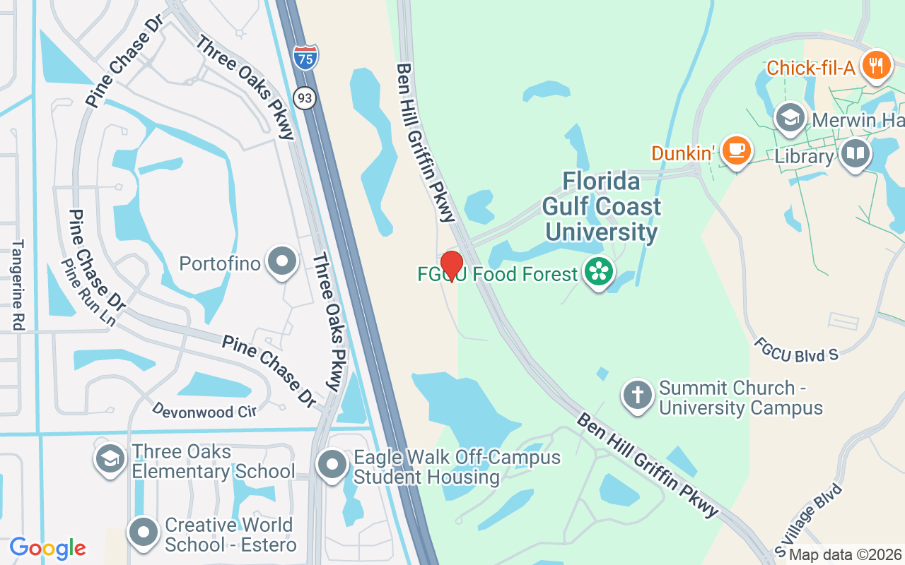 19135 Via Messina Way, Fort Myers, FL 33913