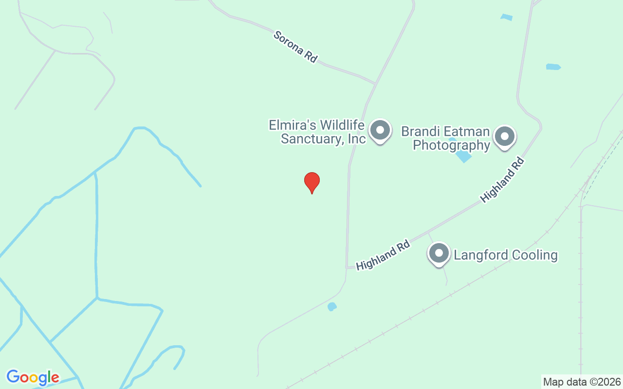 13719 Seminole Trail, Wimauma, FL 33598