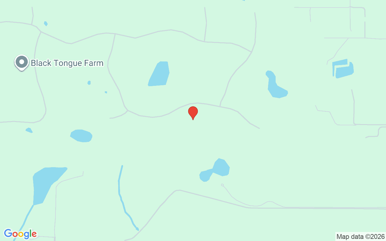 11920 22Nd Avenue Road Se, Ocala, FL 34480