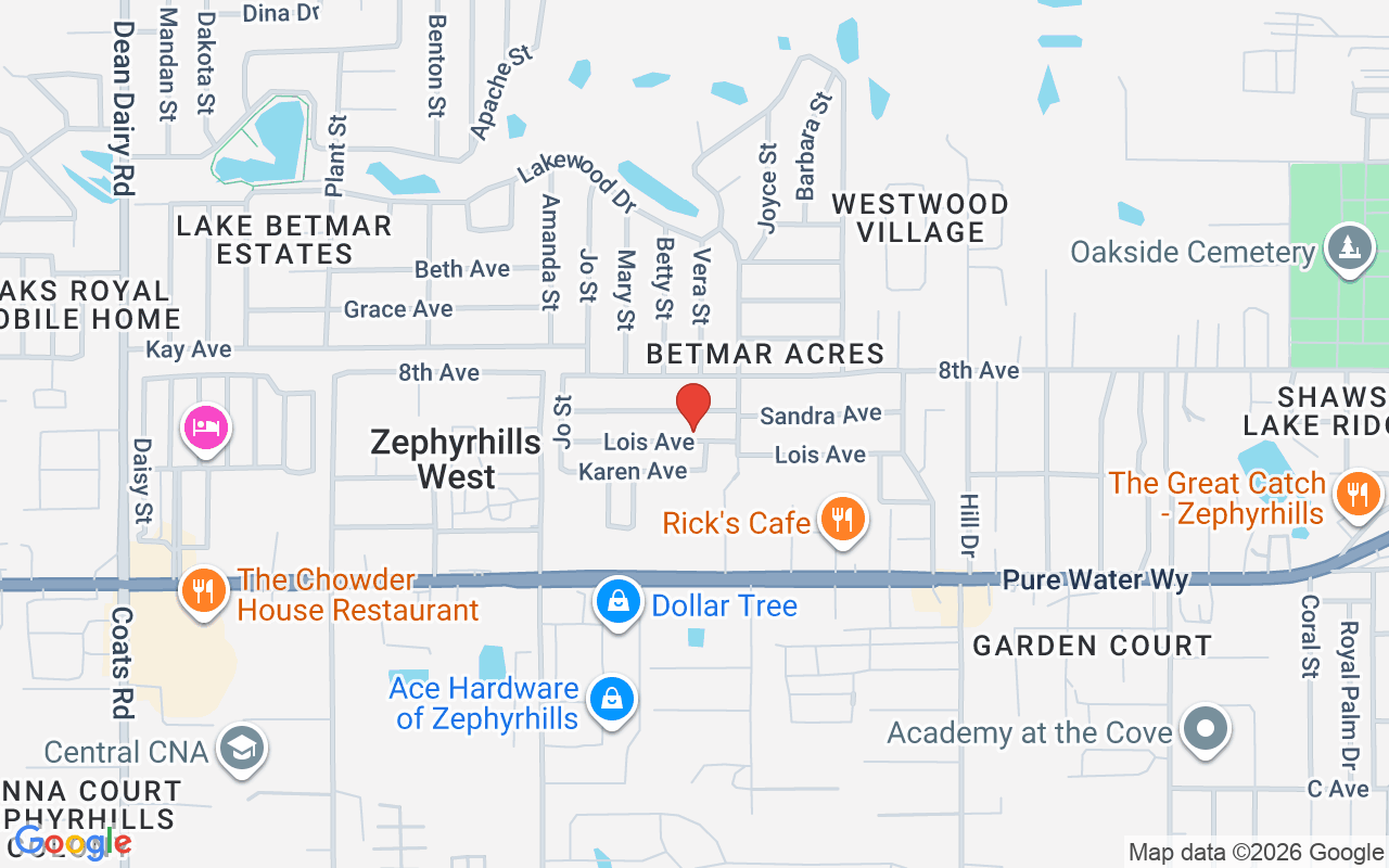 37137 Lois Avenue, Zephyrhills, FL 33542