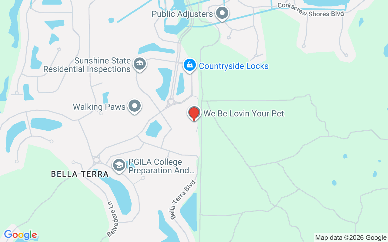 21090 Cosenza Ct, Estero, FL 33928