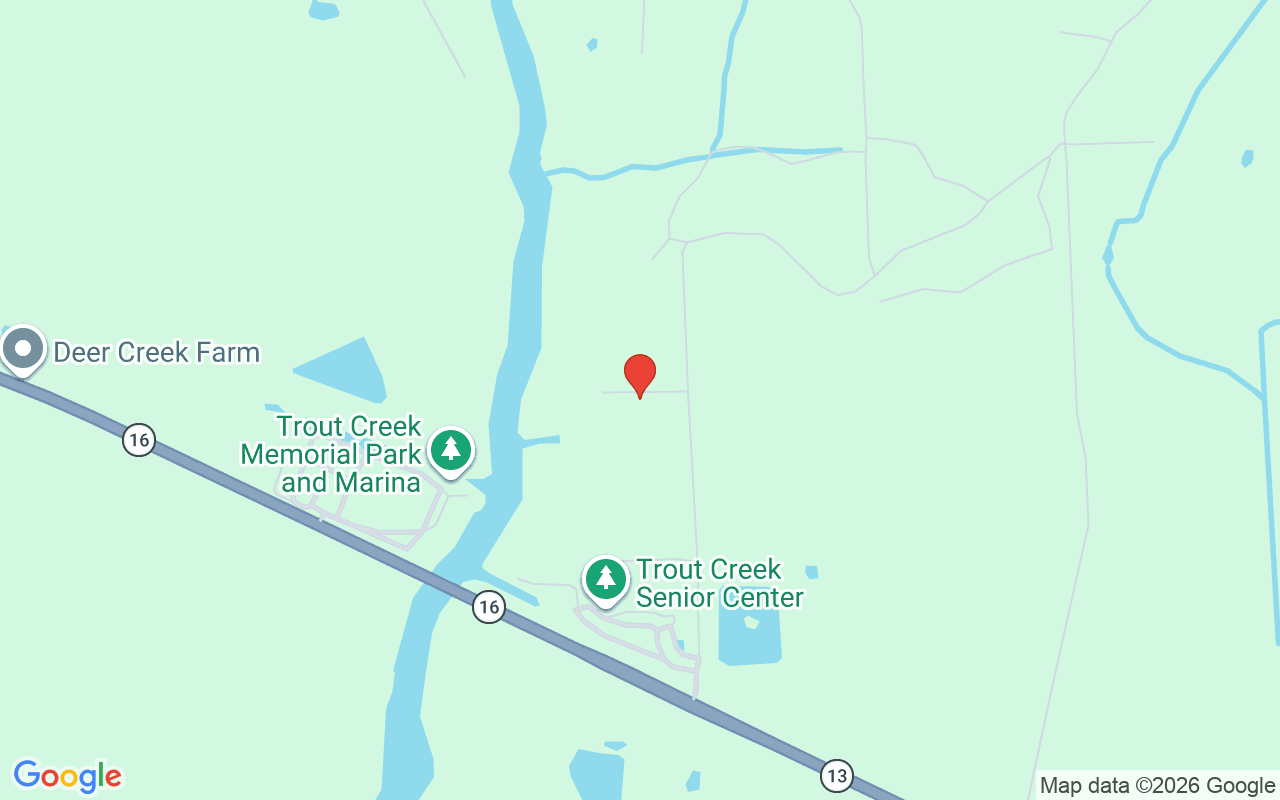 6595 Collier Road, St Augustine, FL 32092