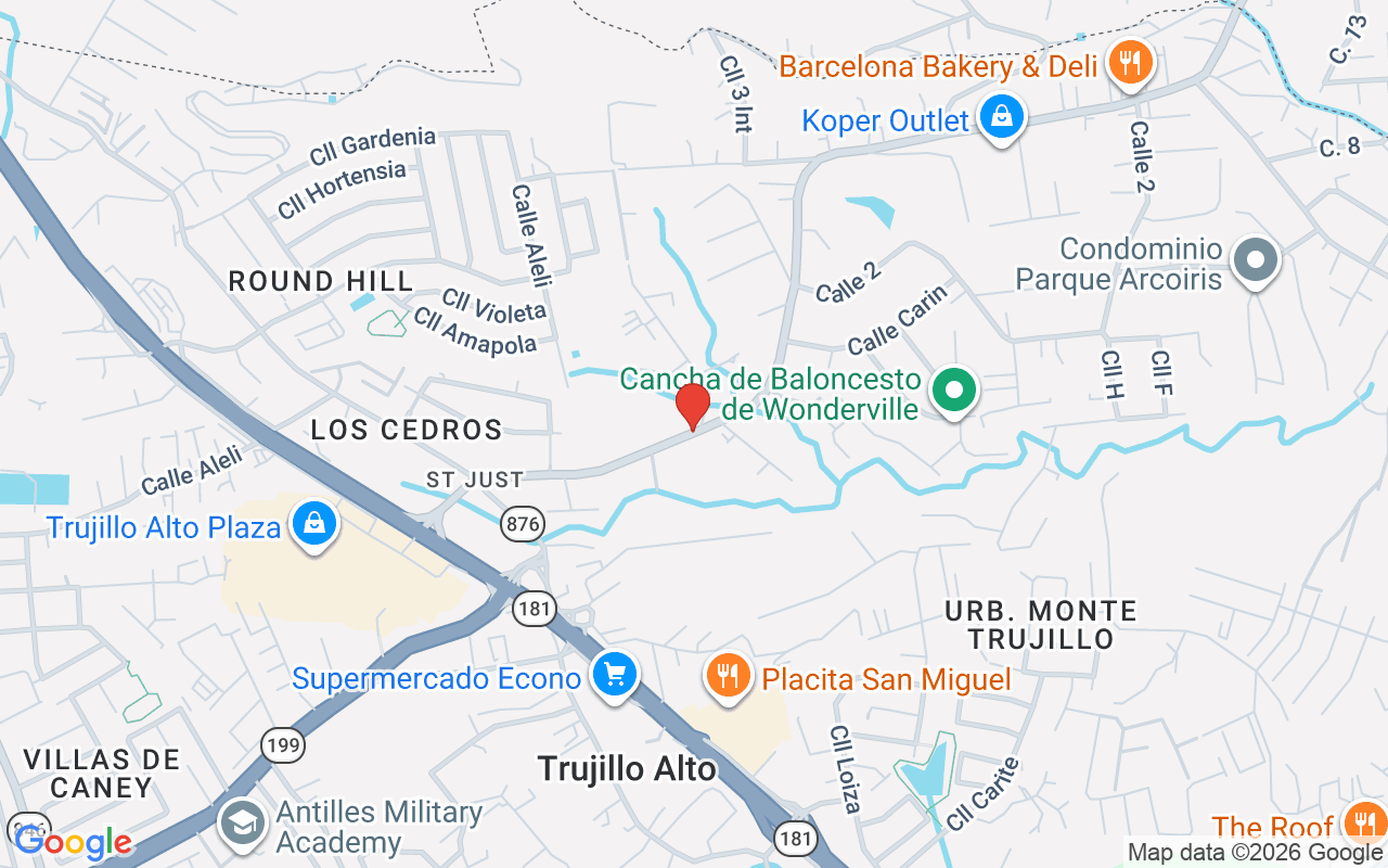 7 Saint Just #40, Carolina, PR 00987