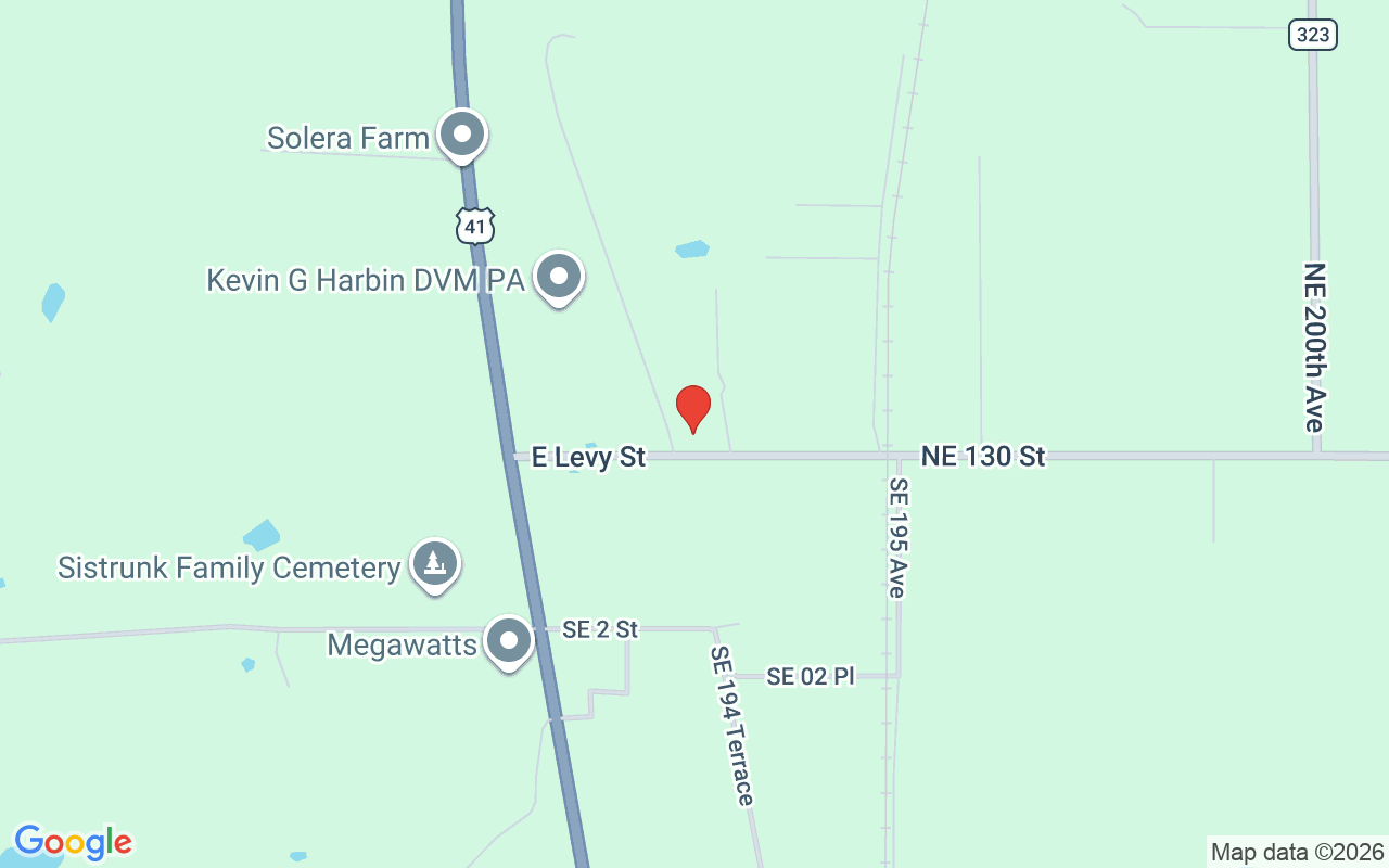 19331 Levy Street E, Williston, FL 32696