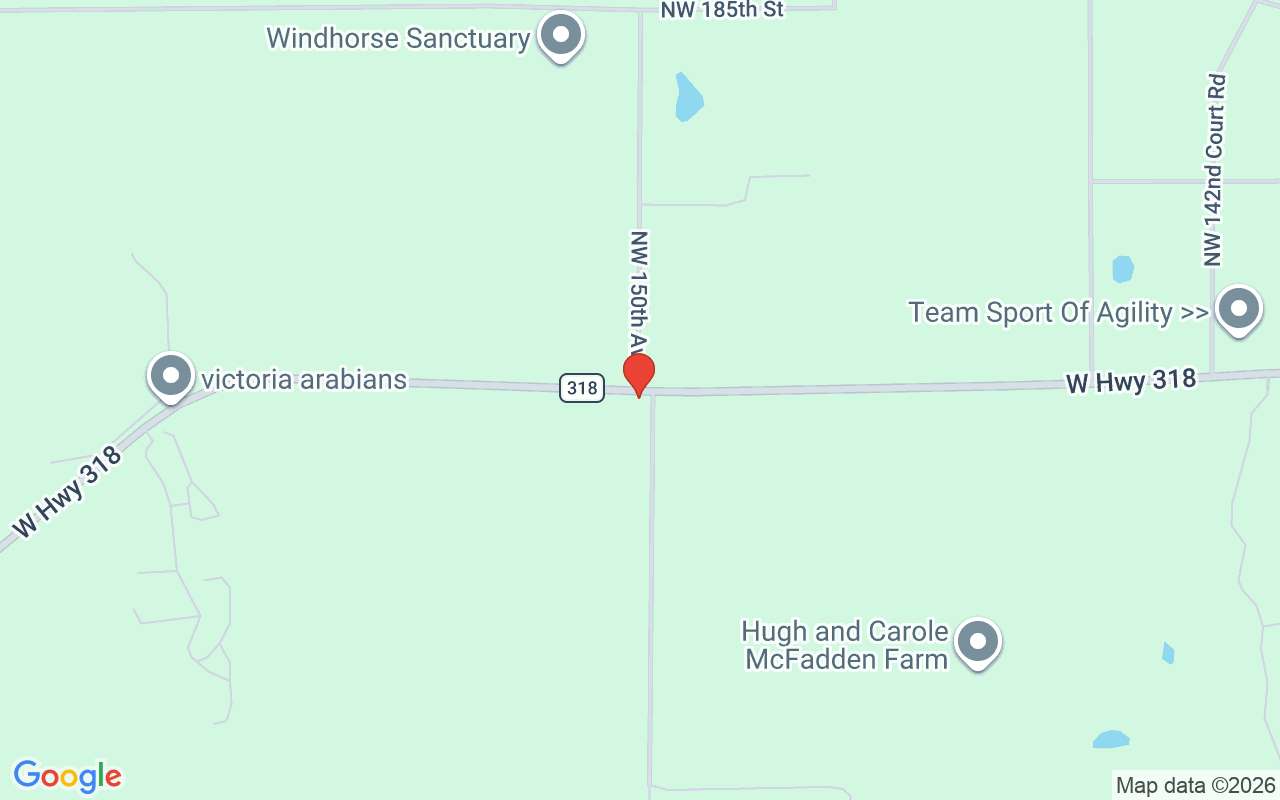15964 Highway 318  W, Williston, FL 32696