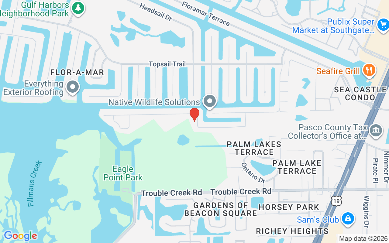 4256 Rudder Way, New Port Richey, FL 34652