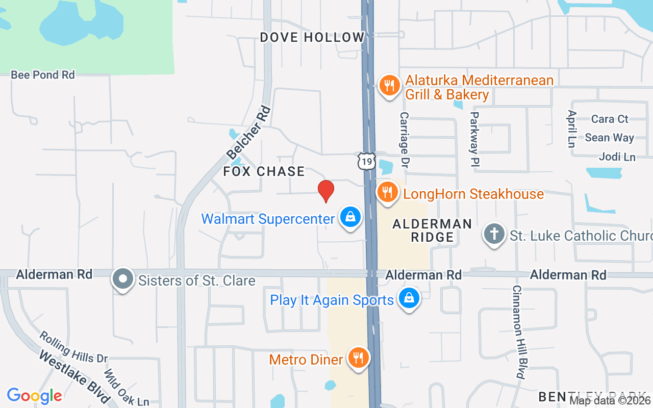 2452 Bush Tail Court, Palm Harbor, FL 34683