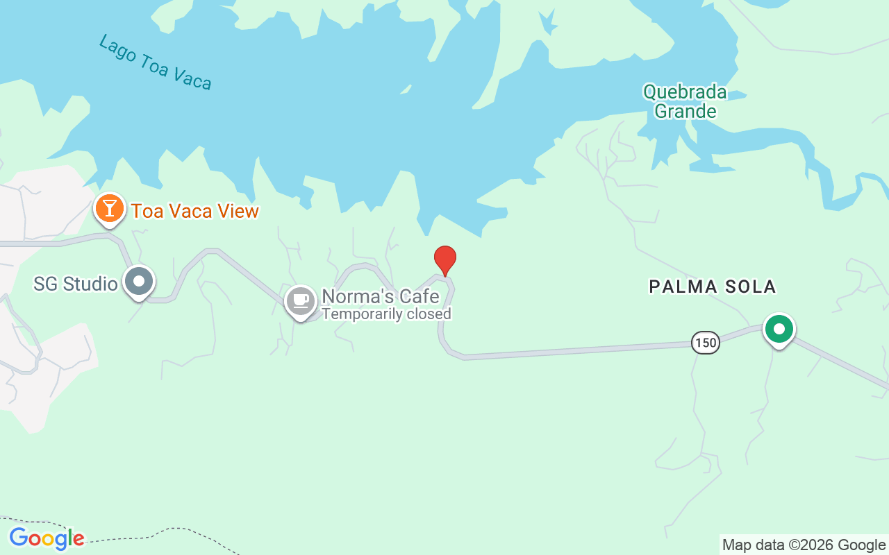 150 Carr #10.8km, Villalba, PR 00766