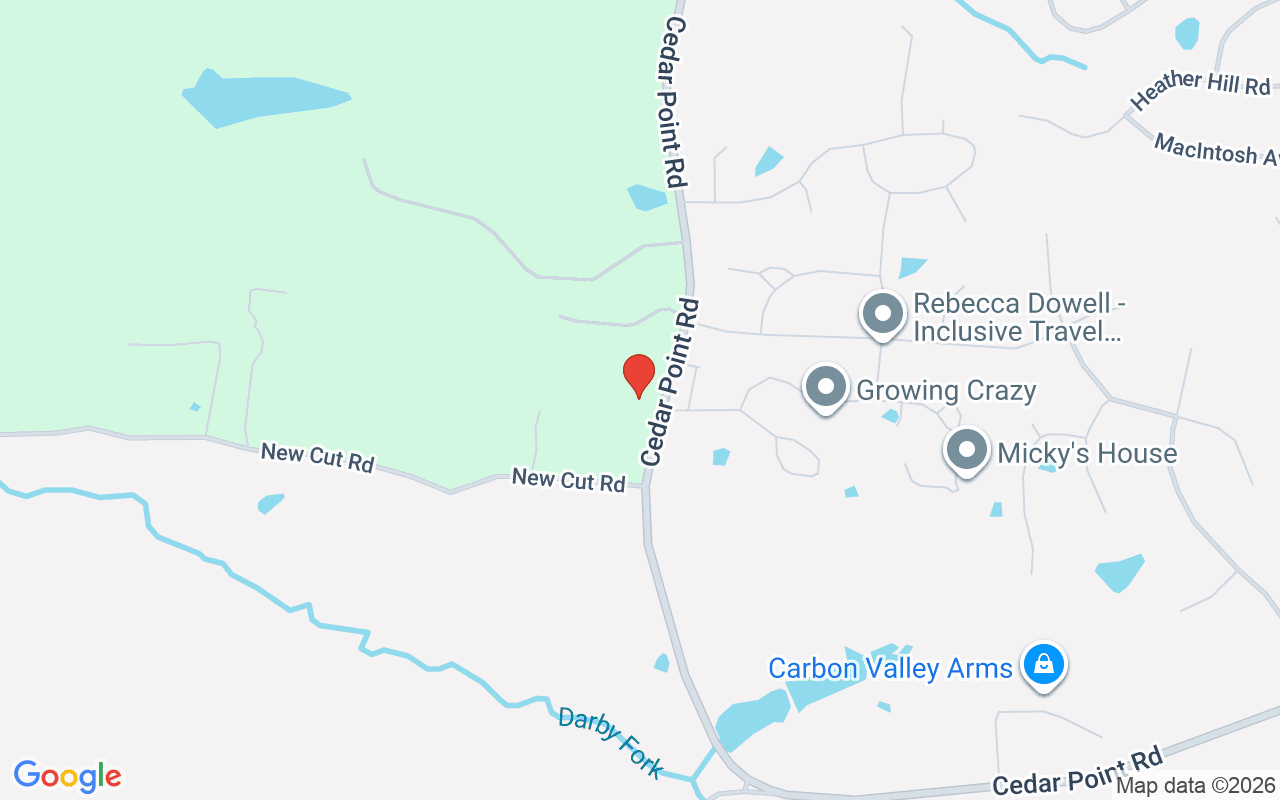 2628 Cedar Point Rd, La Grange, KY 40031