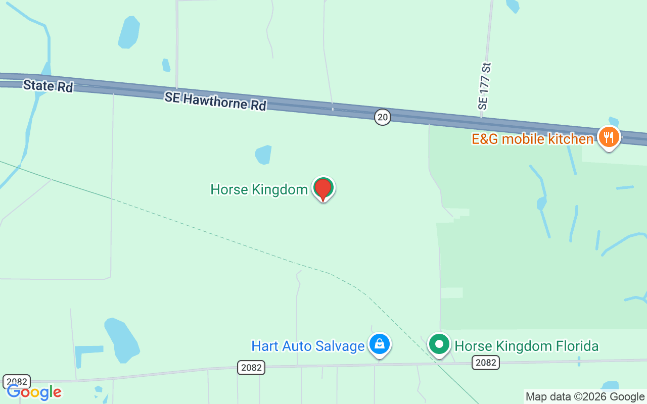 18001 Hawthorne Road Se, Hawthorne, FL 32640