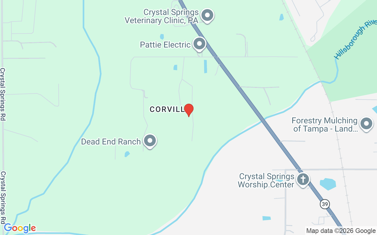 2445 Corvilla Drive, Zephyrhills, FL 33540