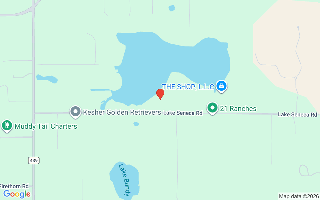 22151 Lake Seneca Road, Eustis, FL 32736