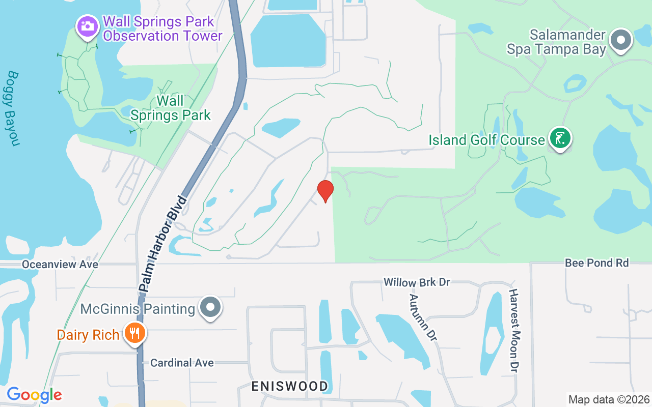 1151 Tinley Court, Palm Harbor, FL 34683