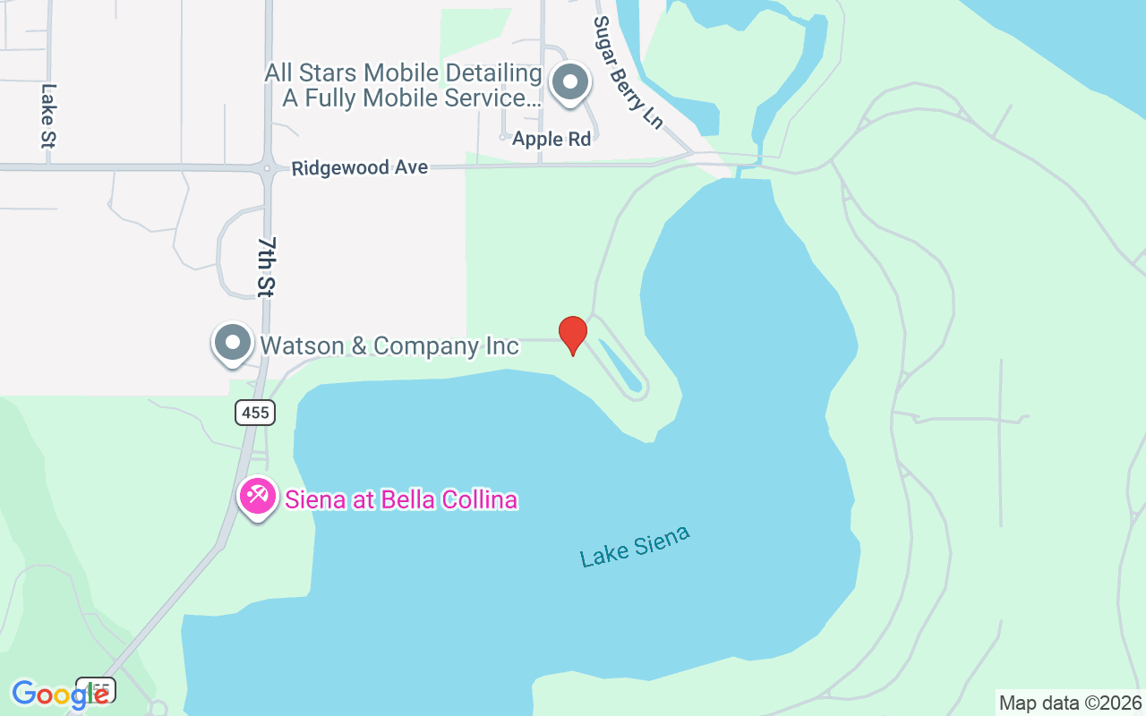 17300 Pesce Loop, Montverde, FL 34756