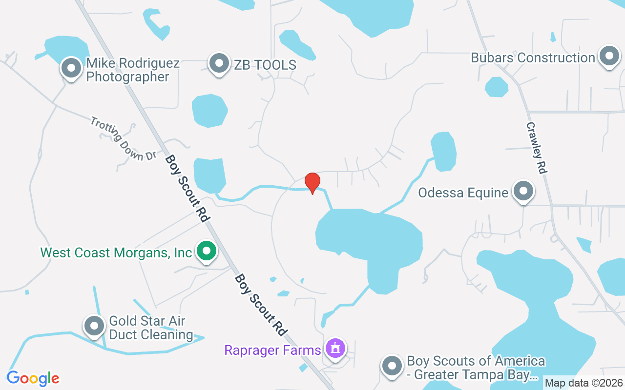 17201 Breeders Cup Drive, Odessa, FL 33556