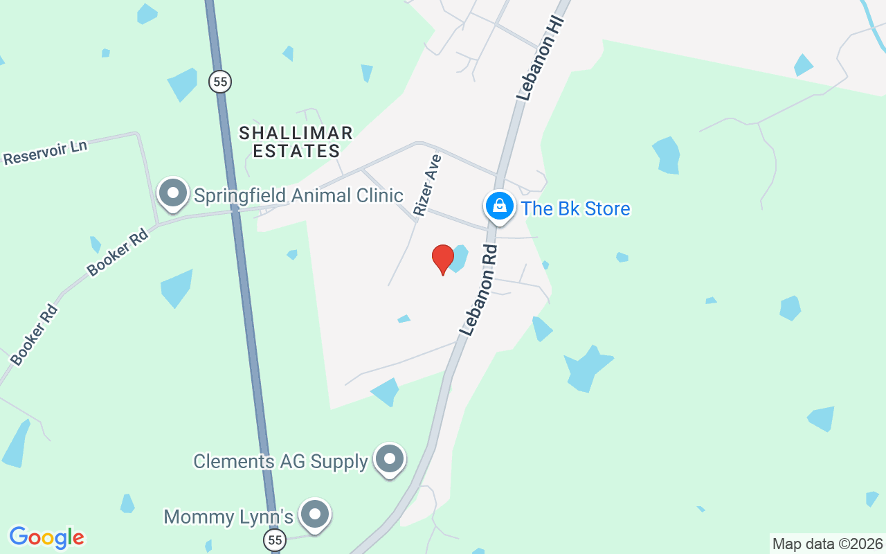 879 Lebanon Rd, Springfield, KY 40069