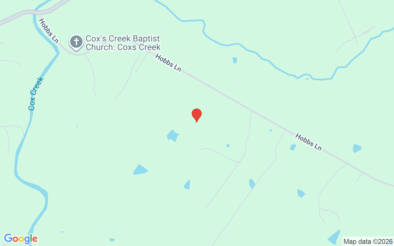 843 Hobbs Ln, Coxs Creek, KY 40013