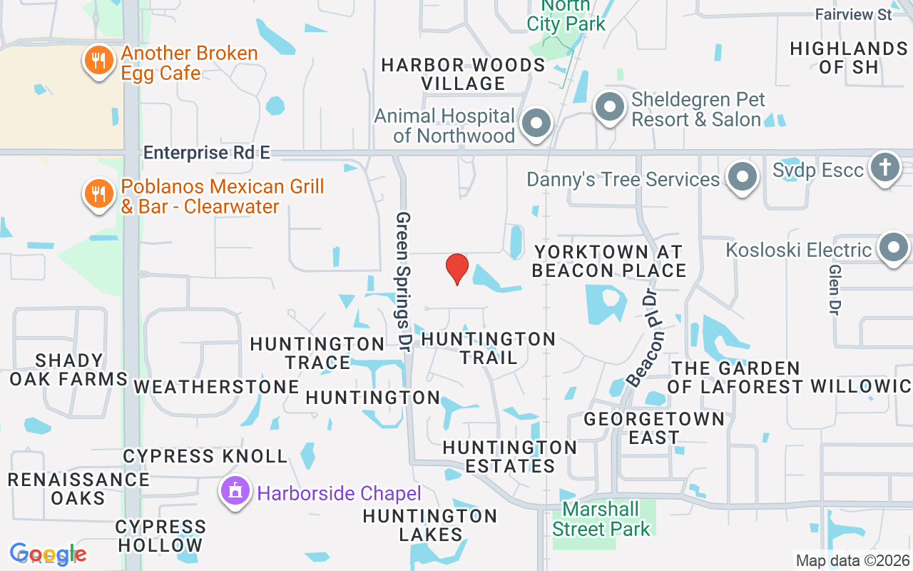 3321 Meander Lane, Safety Harbor, FL 34695