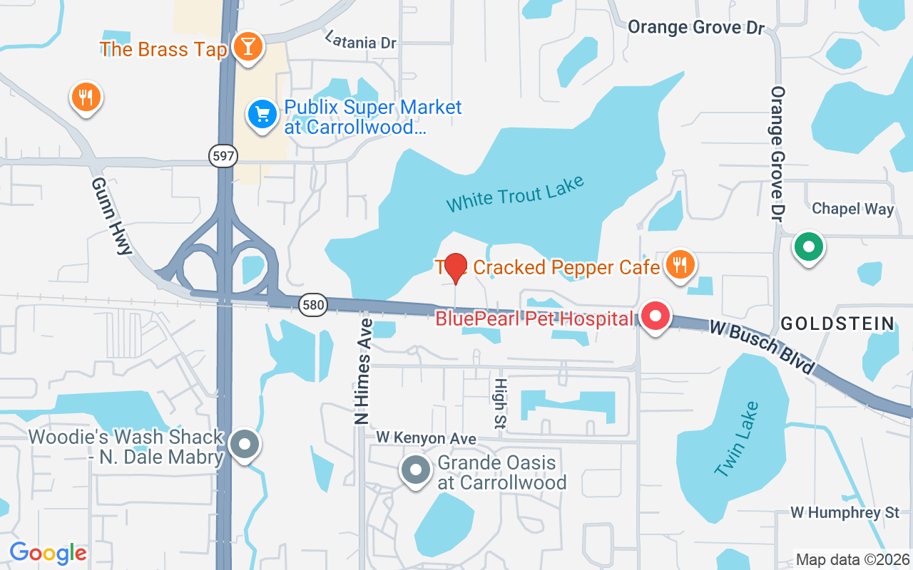 2 Troutwater Ln Troutwater Lane, Tampa, FL 33618