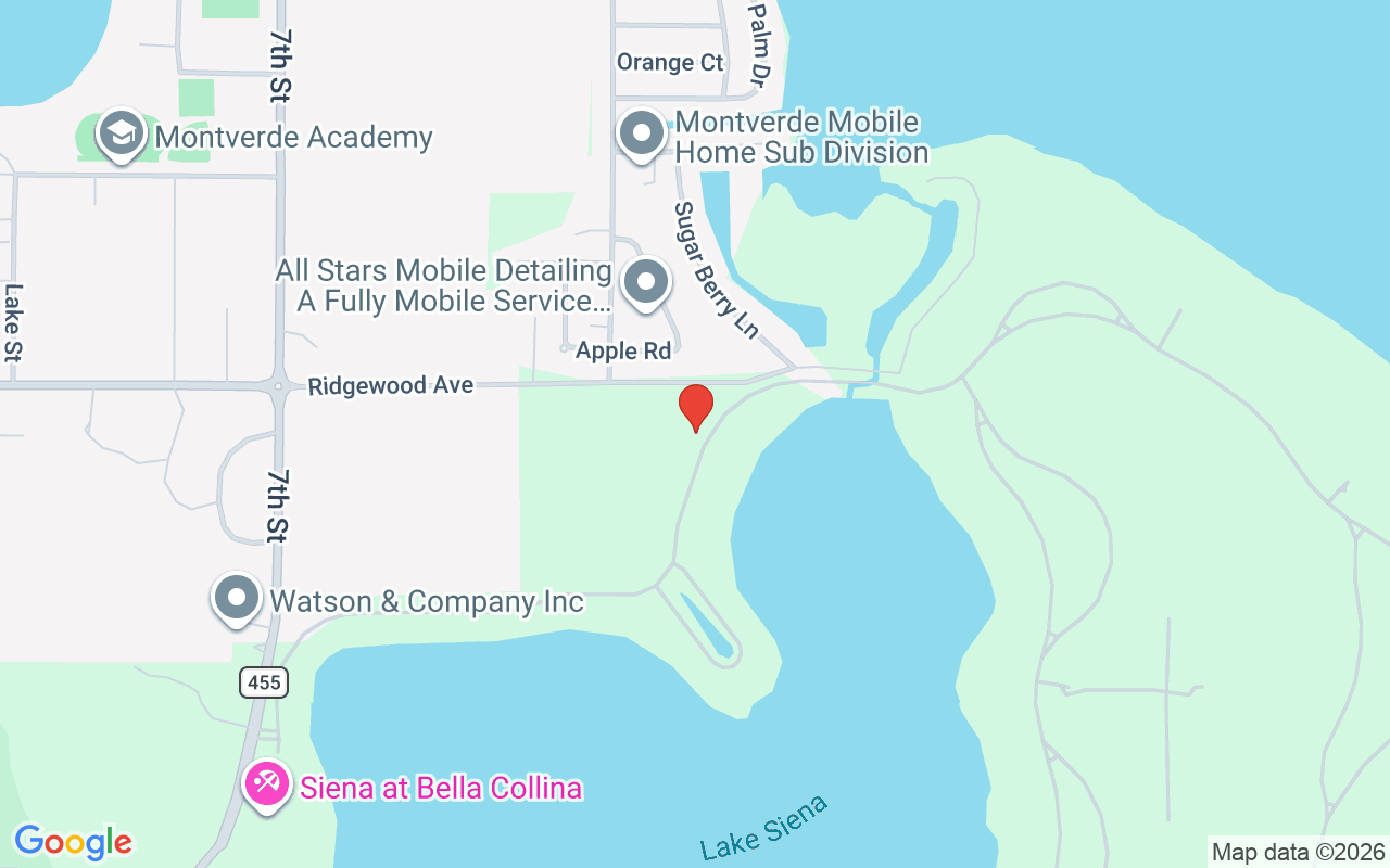 16829 Bolsena Drive, Montverde, FL 34756