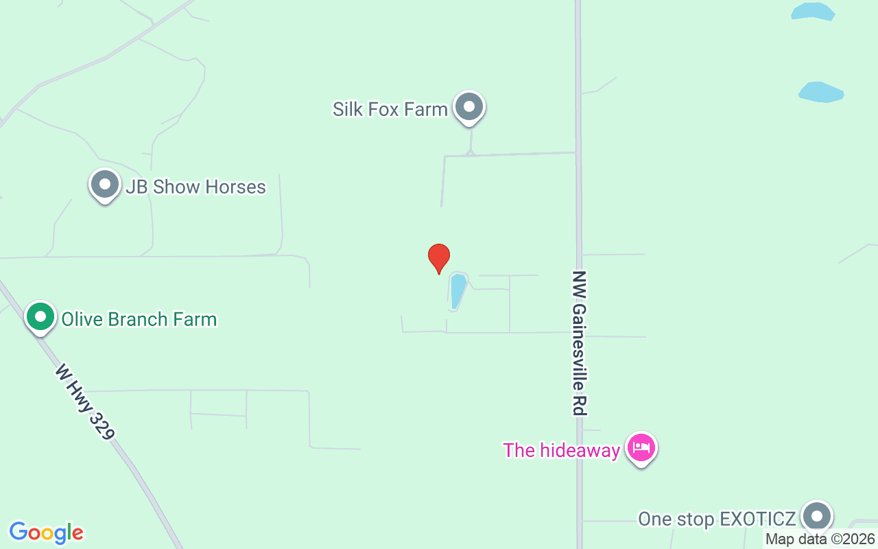 13450 Gainesville Road Nw, Reddick, FL 32686
